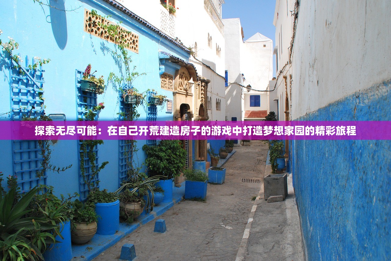探索无尽可能：在自己开荒建造房子的游戏中打造梦想家园的精彩旅程