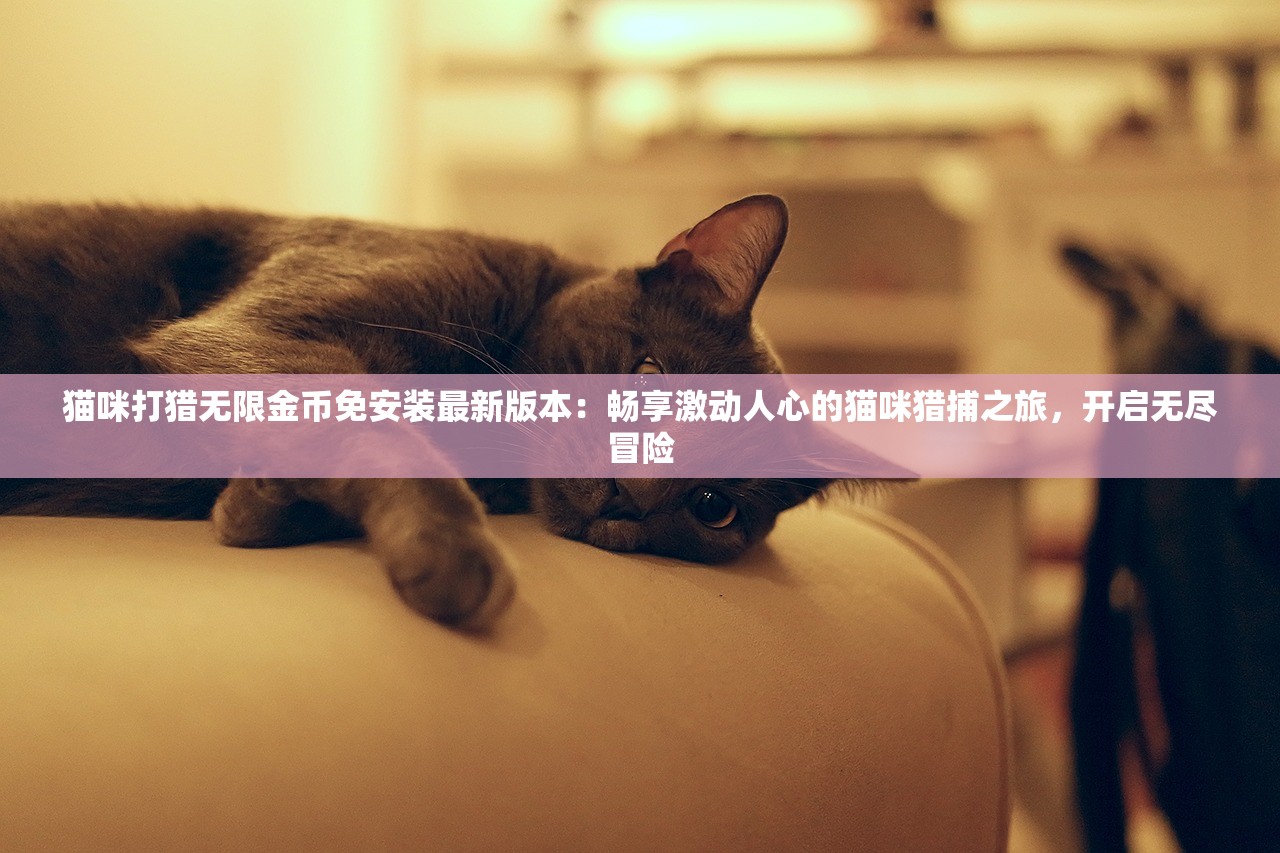 (热血三国志ol改名后叫什么名字)热血三国志OL华丽转身，揭秘新名背后的故事与变革之路
