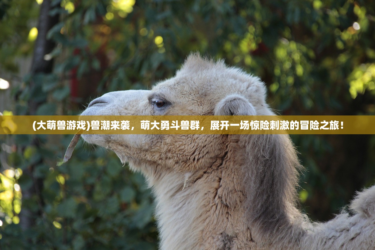 (四驱兄弟抢跑)四驱兄弟极速奔跑手游，上线时间揭秘，玩家期待值飙升！