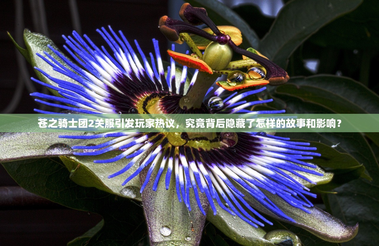 (无名江湖0氪最强阵容2024)无名江湖0氪最强阵容解析，打造无氪金巅峰，领略江湖真谛