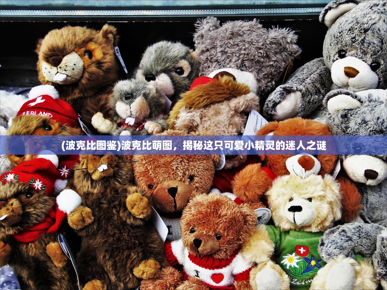 (古惑三国志最强阵容搭配)古惑三国志，揭秘最强阵容，谁将引领战场风云？
