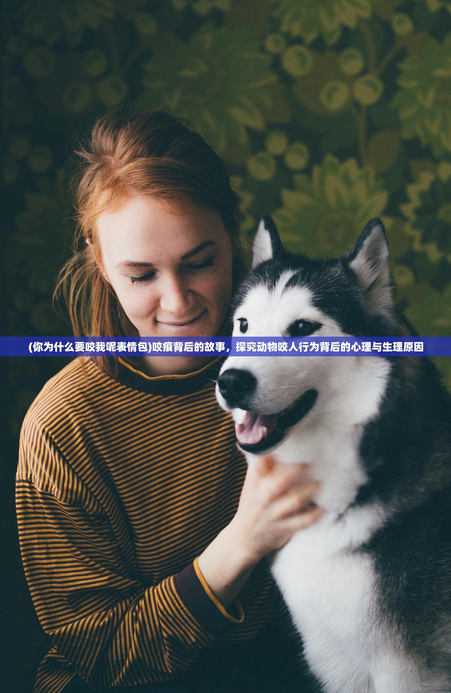 (你为什么要咬我呢表情包)咬痕背后的故事，探究动物咬人行为背后的心理与生理原因