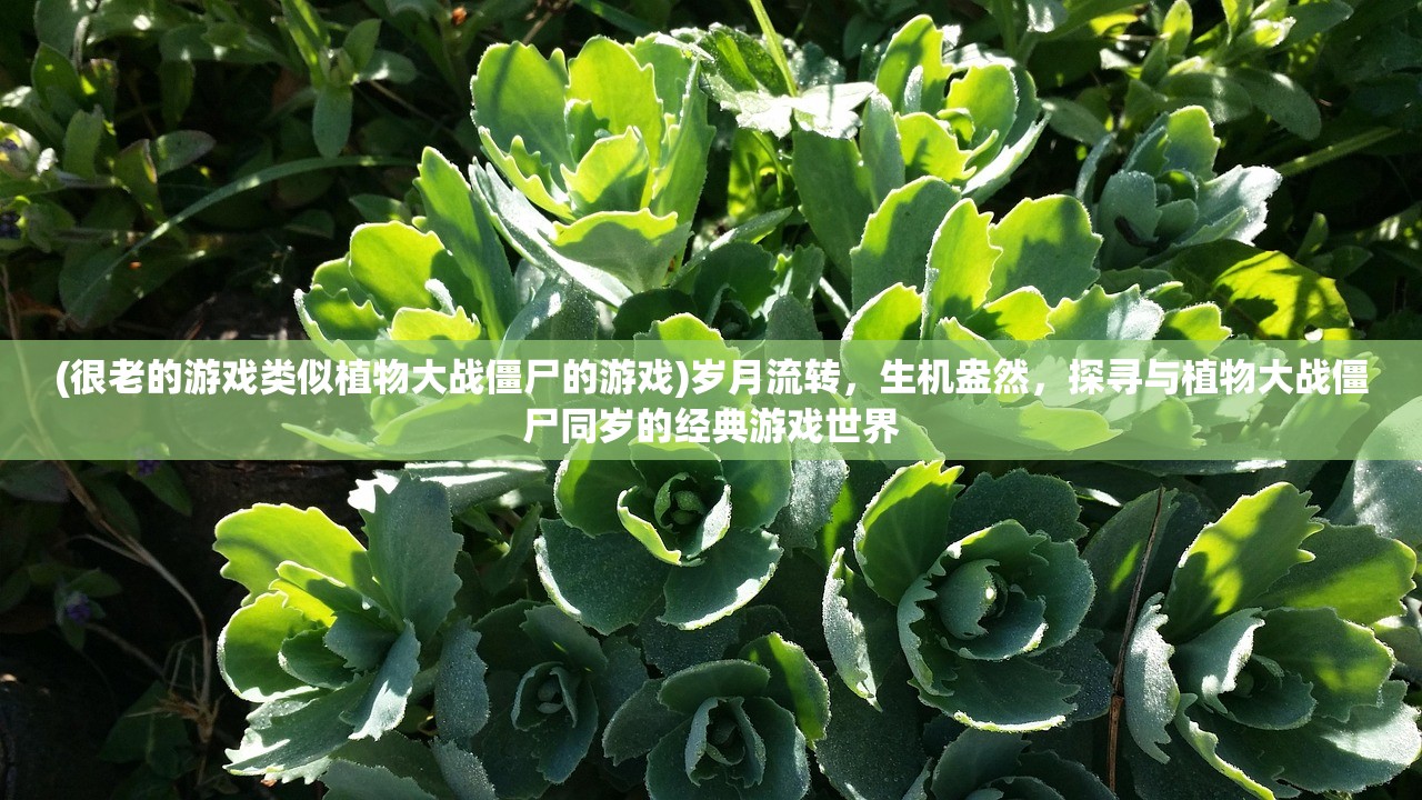 (水浒传游戏大全破解版)水浒传游戏大全，穿越江湖，感受英雄传奇的多元化魅力