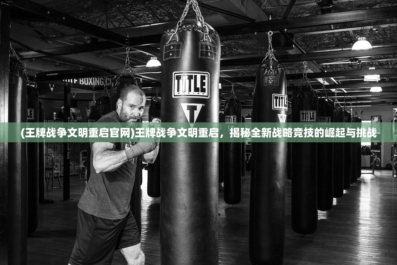 (五维介质人设图)探索未来世界，五维介质2050游戏角色设计的创新与挑战