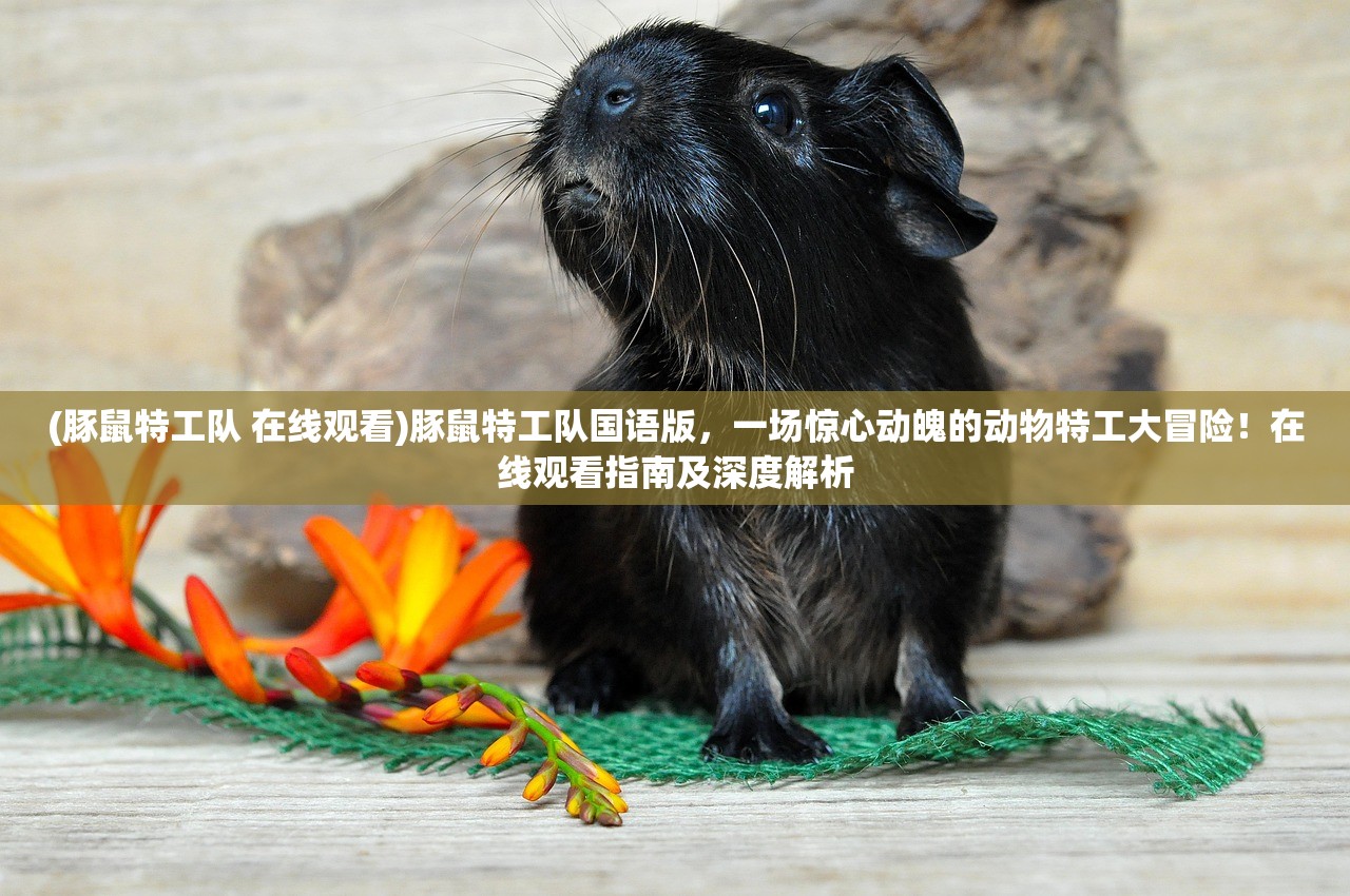 (魔窟通关攻略)魔窟通关攻略，深度解析，助你轻松征服神秘地牢！