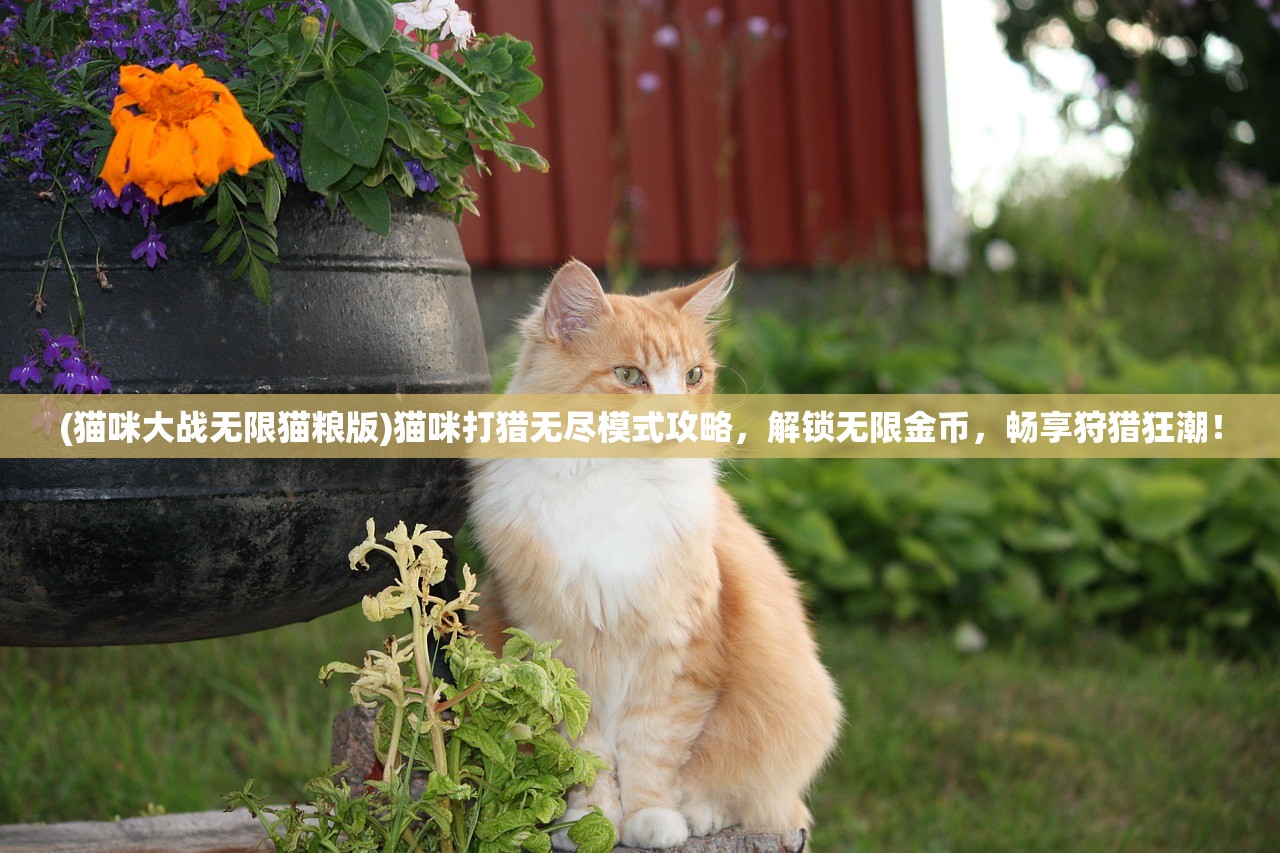 (僵尸类单机游戏电脑推荐)探索僵尸末世，电脑单机游戏中的僵尸类游戏解析与攻略全解