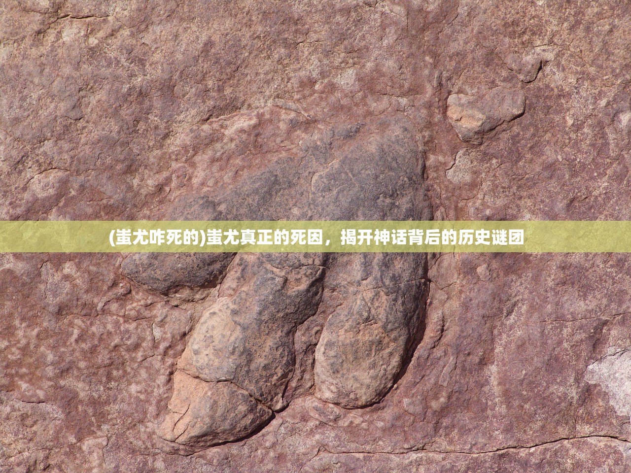 (爱琳诗篇0.1折哪里有)爱琳诗篇0.1折揭秘，性价比之选背后的秘密与争议