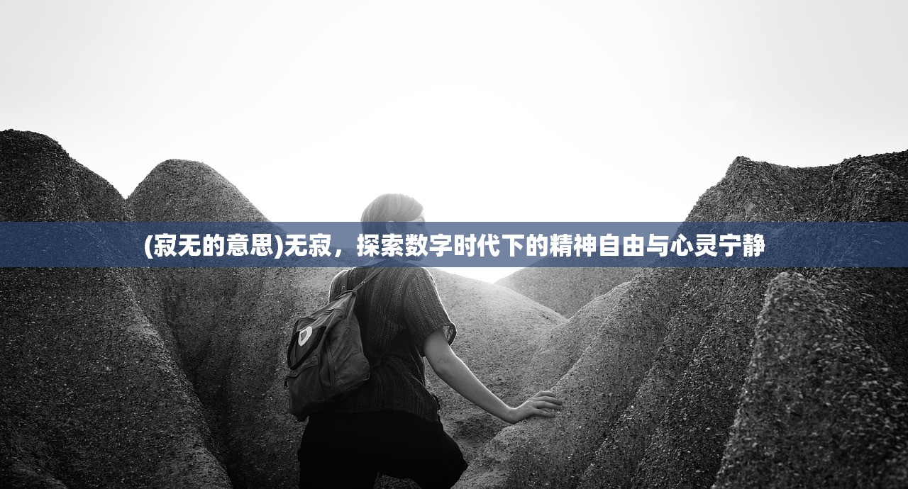 (西游记读后感500字)西游记，一部跨越时空的奇幻史诗与多元文化解读