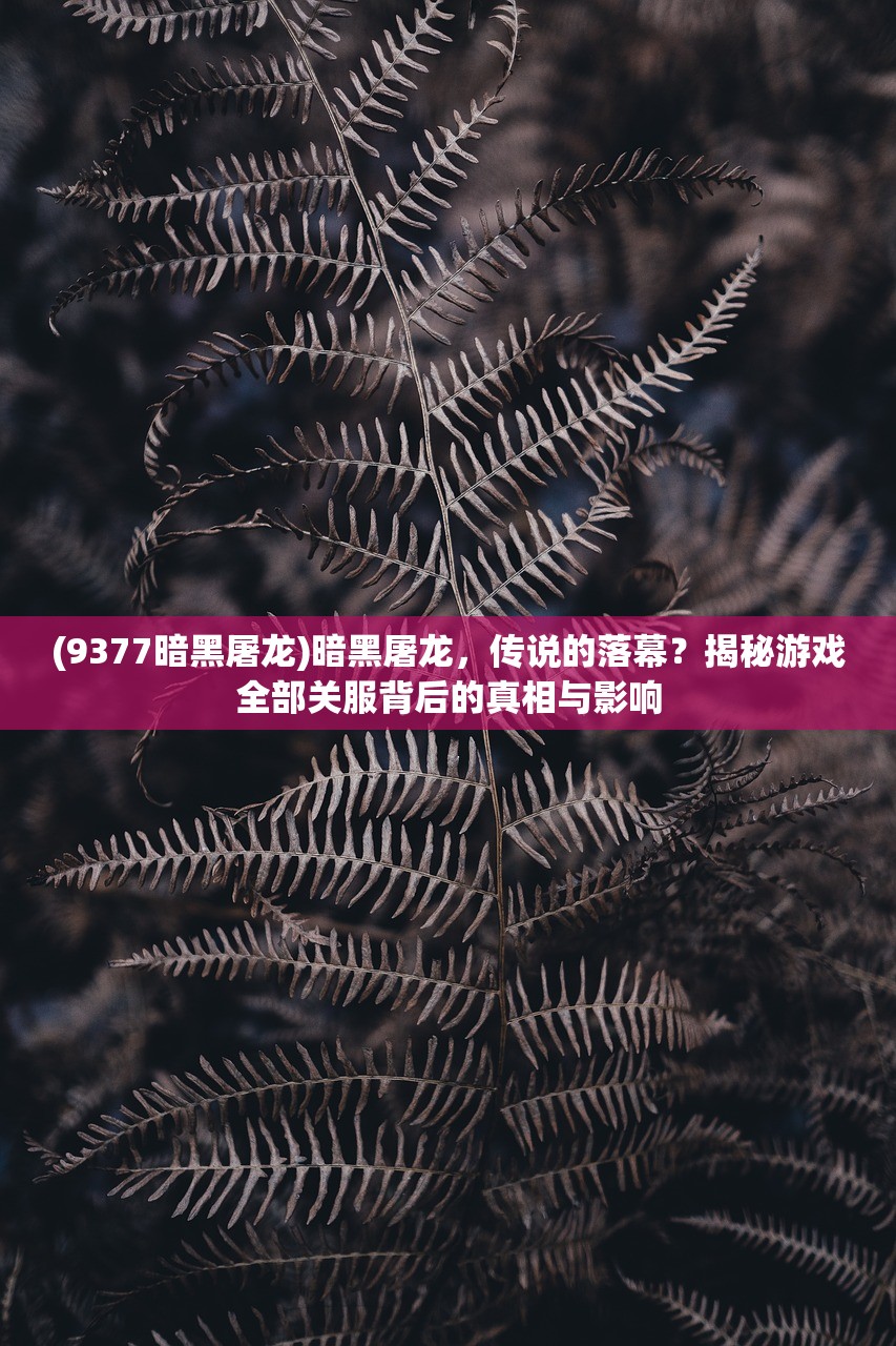 (万军之将的拼音怎么写的)万军之将，一位军事领袖的传奇生涯与智慧