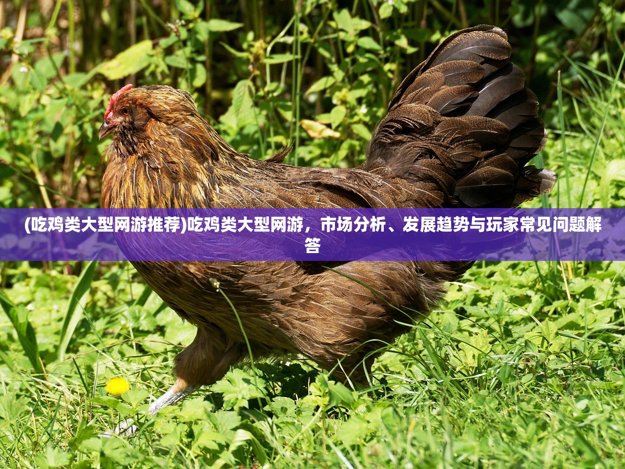 (末剑二百度百科)末剑二免费完整版来袭，深度解析游戏特色与免费策略