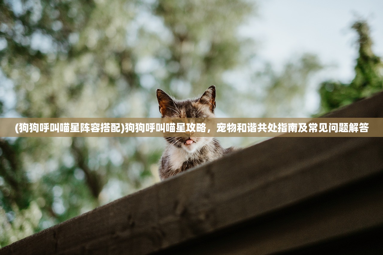 (胡莱三国3有哪些平台)胡莱三国3手游停运，回顾辉煌历程，探讨行业变革与玩家情感共鸣
