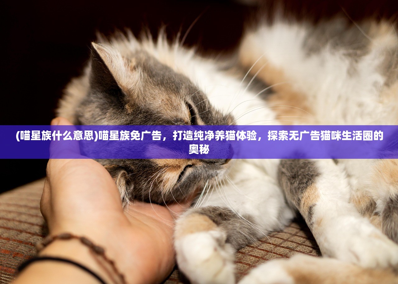 (王冠意志官方网站入口在线观看)探索王冠意志官方网站入口，揭秘神秘企业的线上世界与未来展望