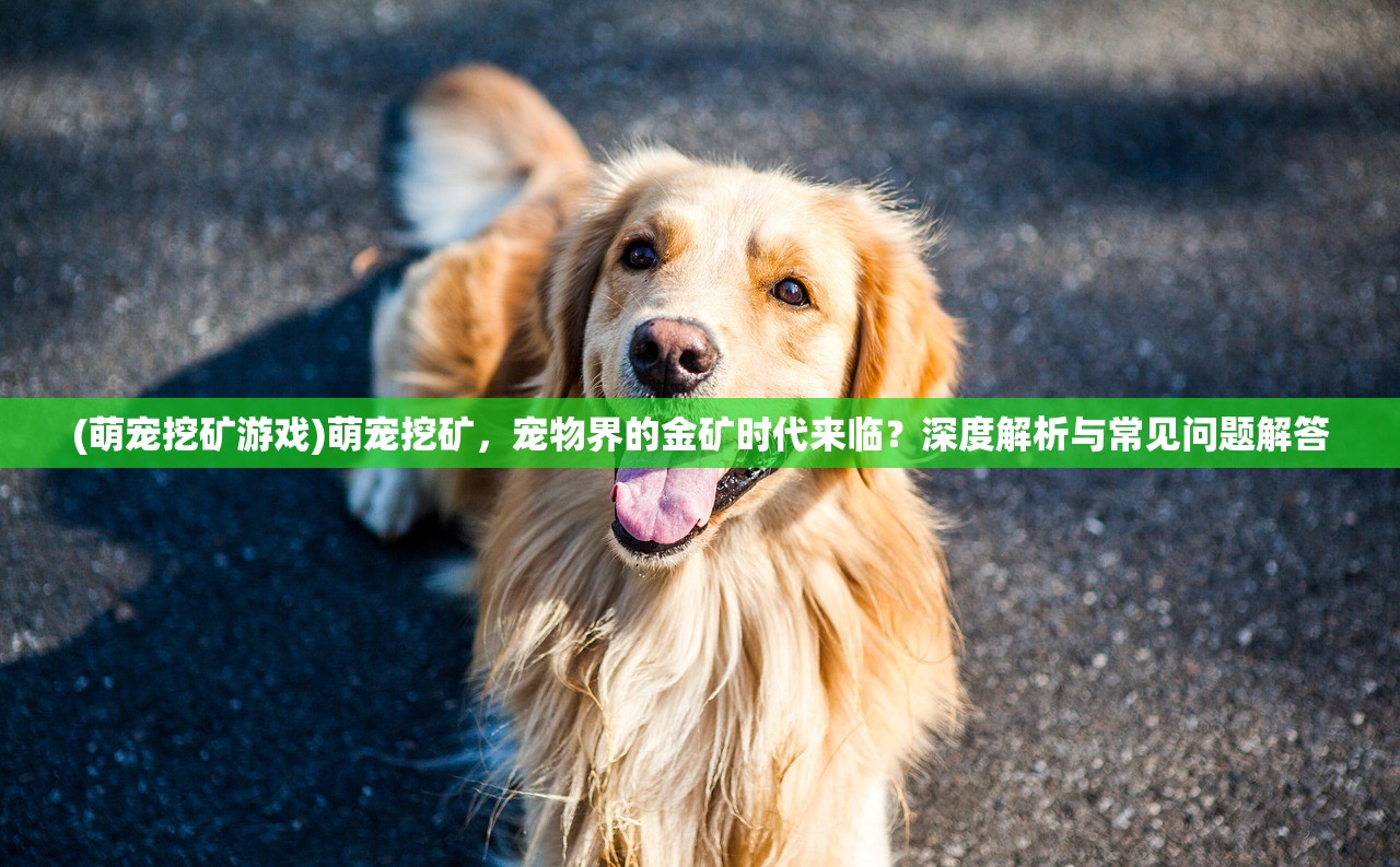 (多益战盟实名认证怎么解除)深度解析多益战盟，社交互动新趋势下的游戏联盟生态探索