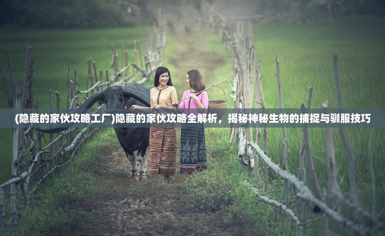 (梦幻金庸群侠传任务流程)梦幻金庸群侠传攻略全流程解析，畅游江湖的必备指南