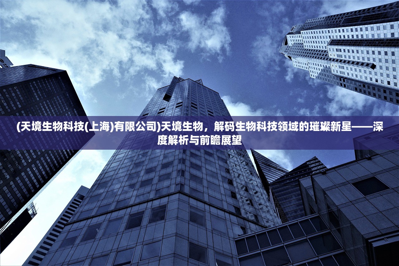 (弩子弹药app下载)深入解析弩子弹药APP官方版，功能全面，安全可靠，使用指南与常见问题解答