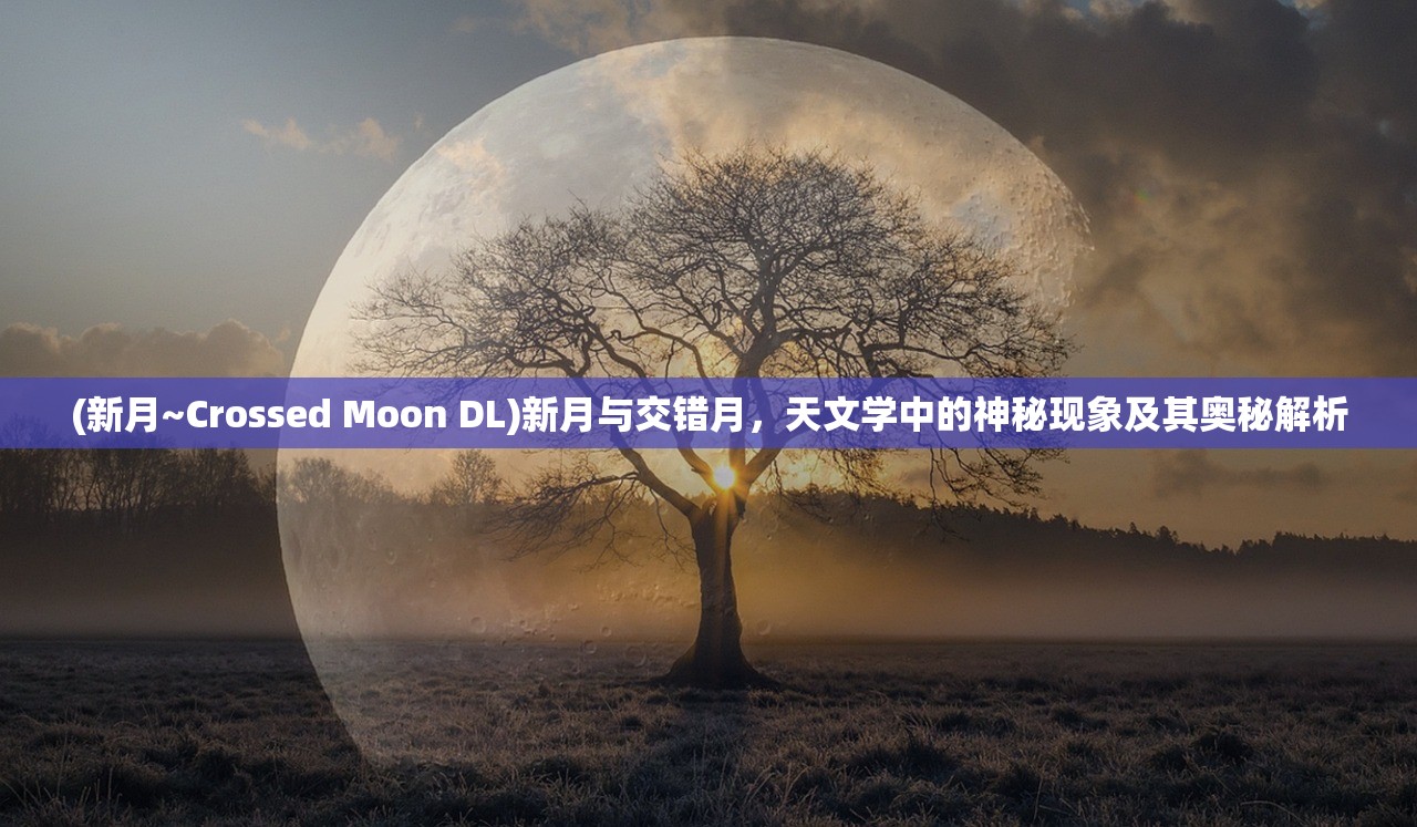 (苏周到 苏康码下载)苏周到与苏康码，数字化抗疫的苏州实践与未来展望