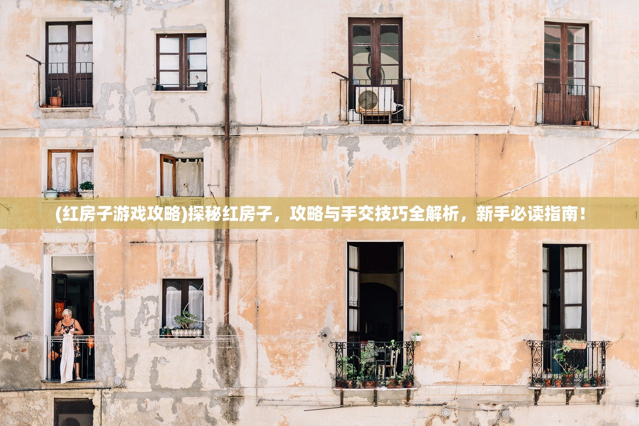 (热血街头格斗拳皇无广告版)热血街头格斗，街头文化的激情碰撞与竞技精神探析