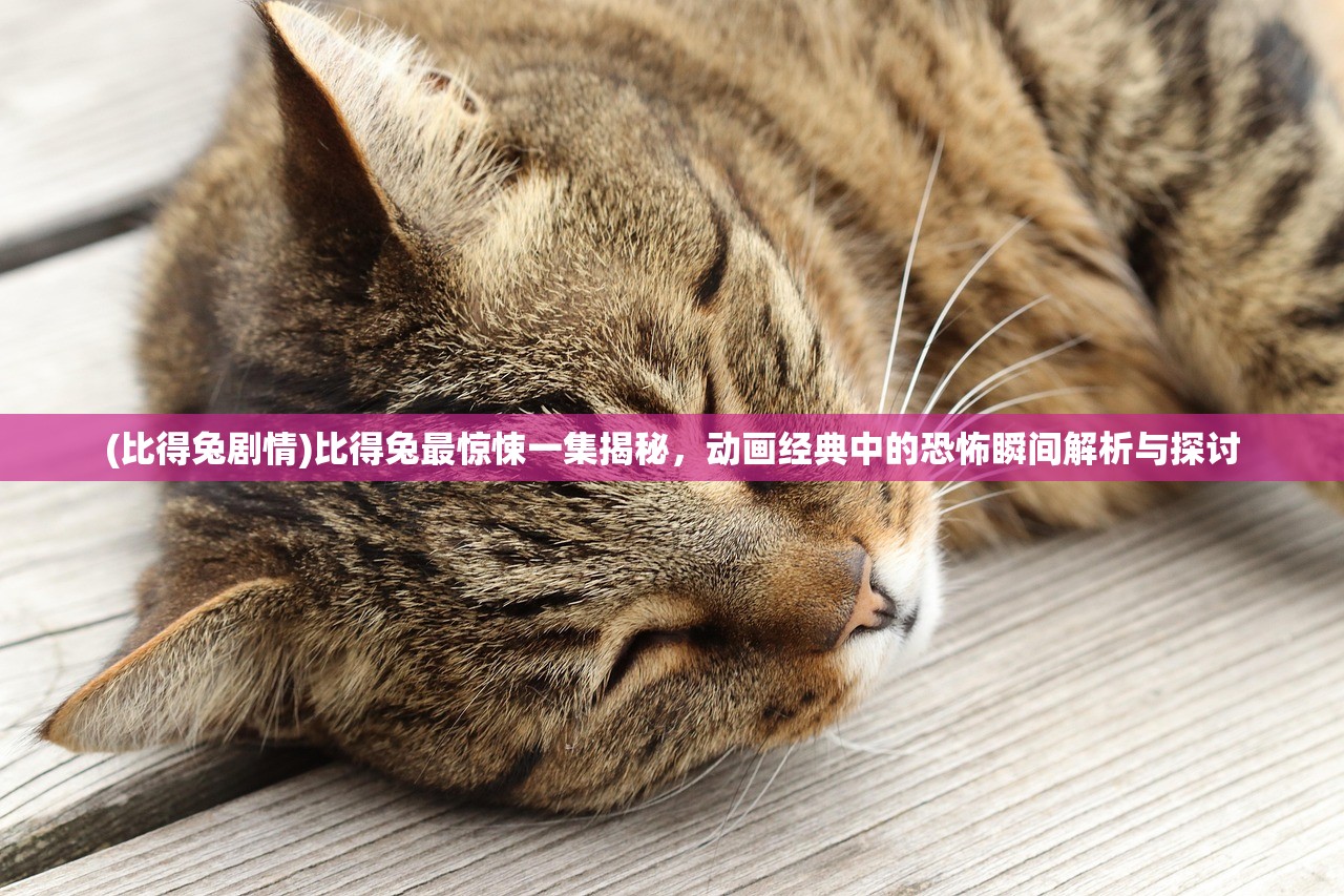 (美食大帝百度百科)搜索美食大王，探寻味蕾的奥秘与美食界的传奇故事