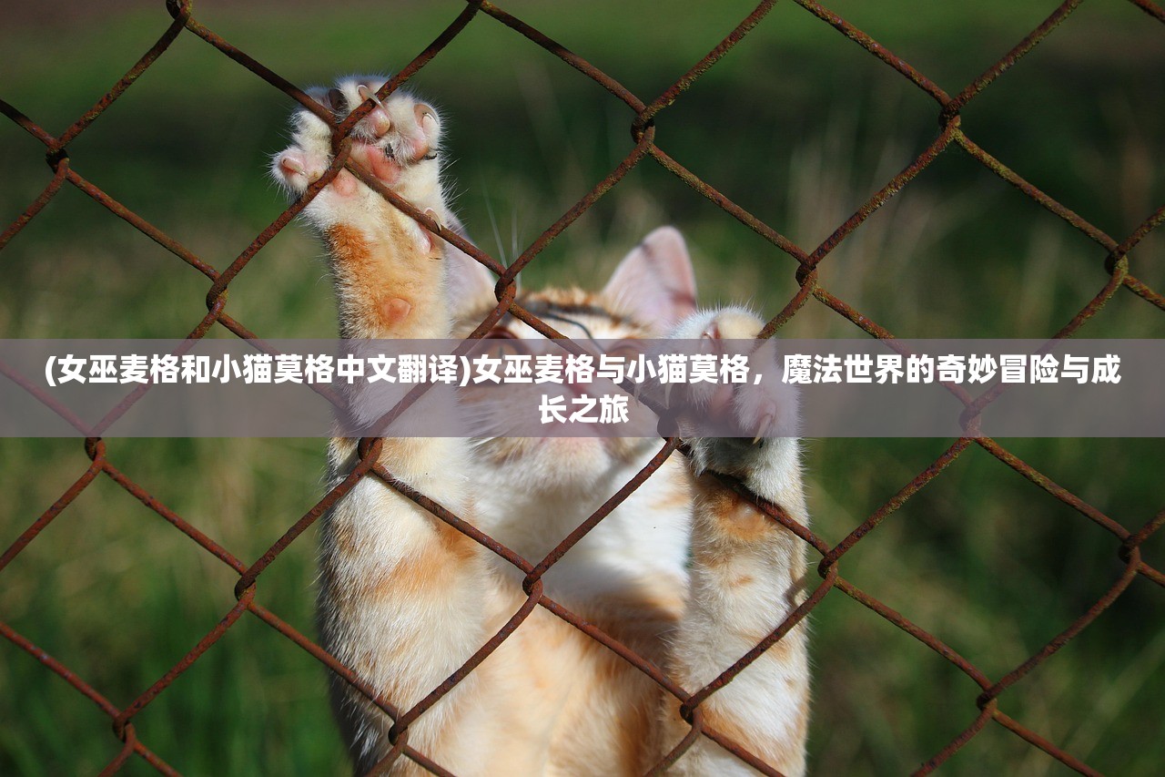 (狂野飙车9竞速传奇国际服下载)狂野飙车9竞速传奇国际服深度解析，畅享全球赛道，解锁无限激情！