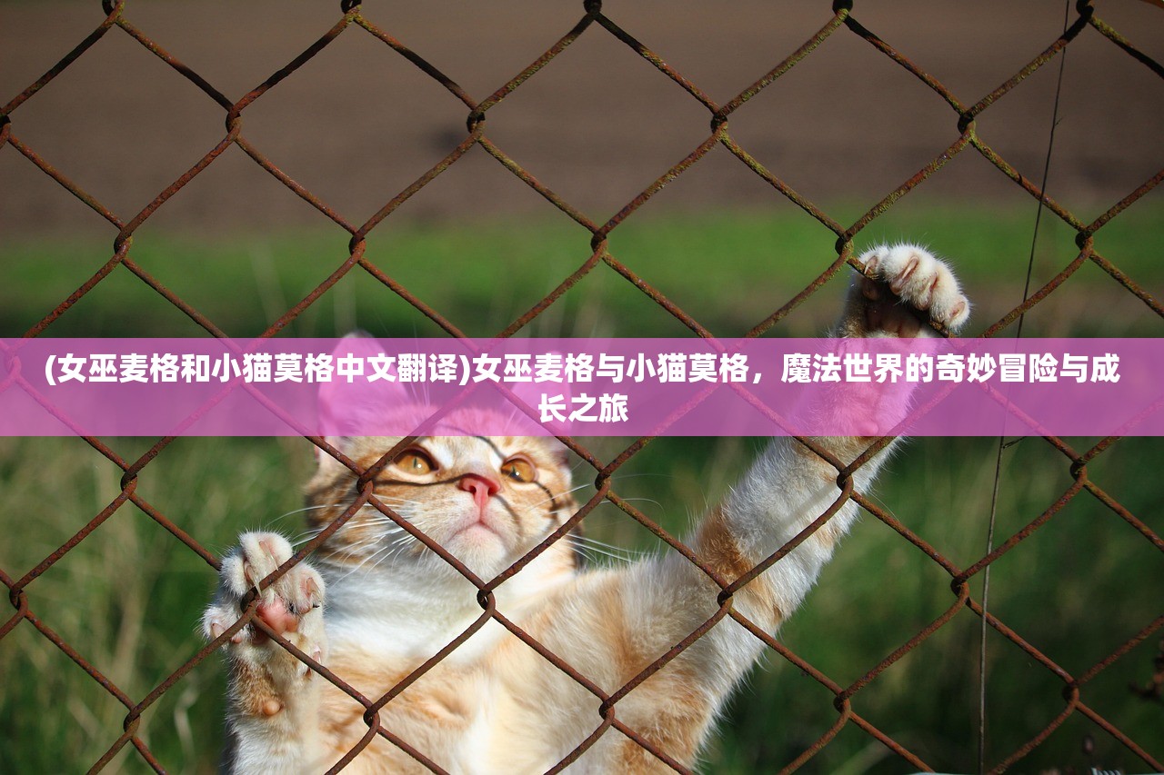 (跟我一起拆家)跟我去拆家手游攻略，颠覆传统，带你体验不一样的破坏乐趣！