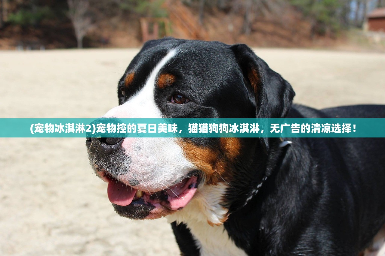 (王者战绩怎么删除其中一个)王者荣耀战绩删除攻略，告别过去，迎接新篇章的五大步骤详解