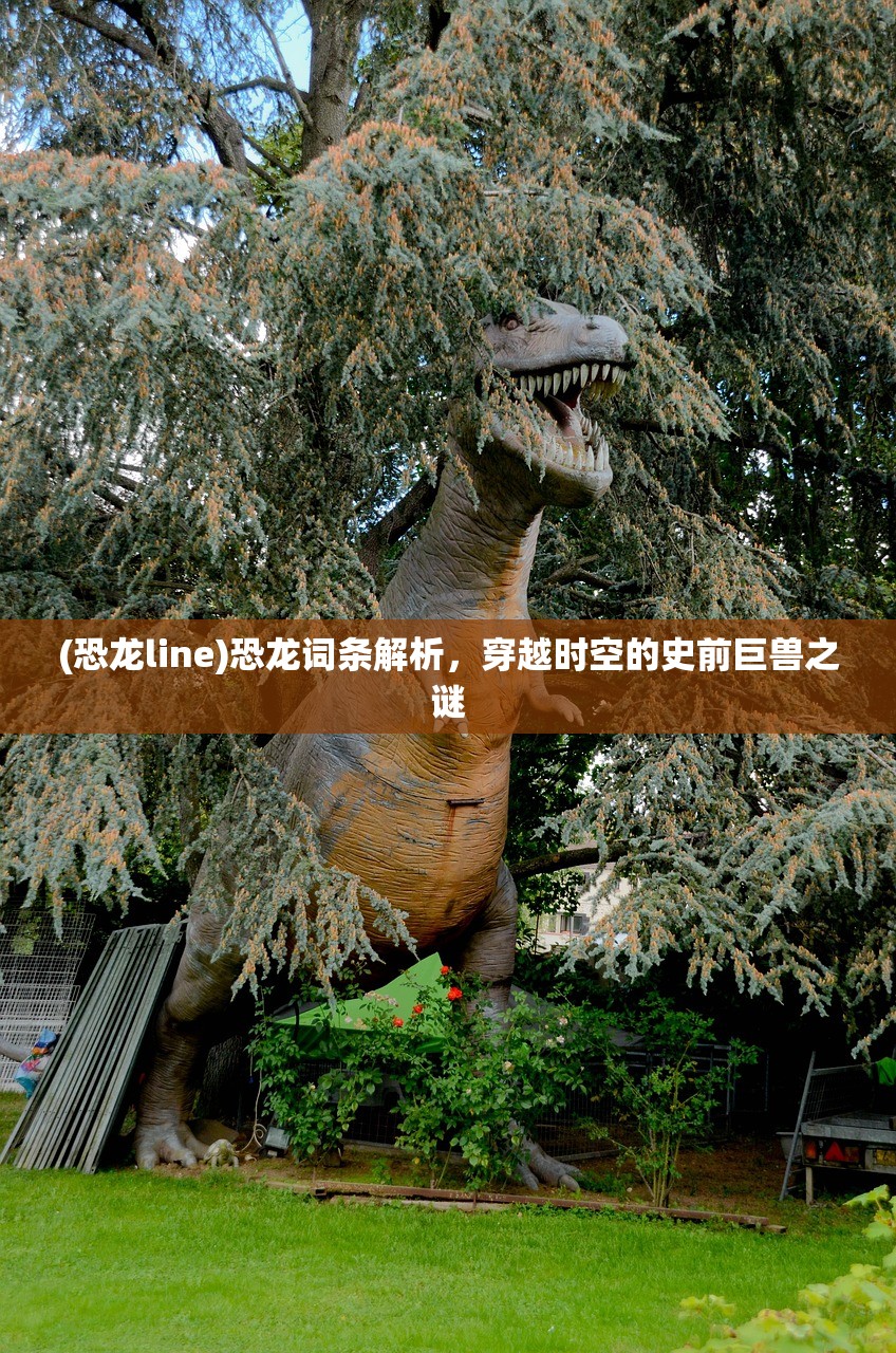 (casio空之勇者)空之勇者新篇章，揭秘上线时间及游戏亮点，玩家期待值飙升！