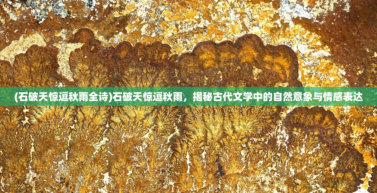 (冲啊三国官网下载)冲啊三国官方正版，深度解析这款策略手游的魅力与挑战