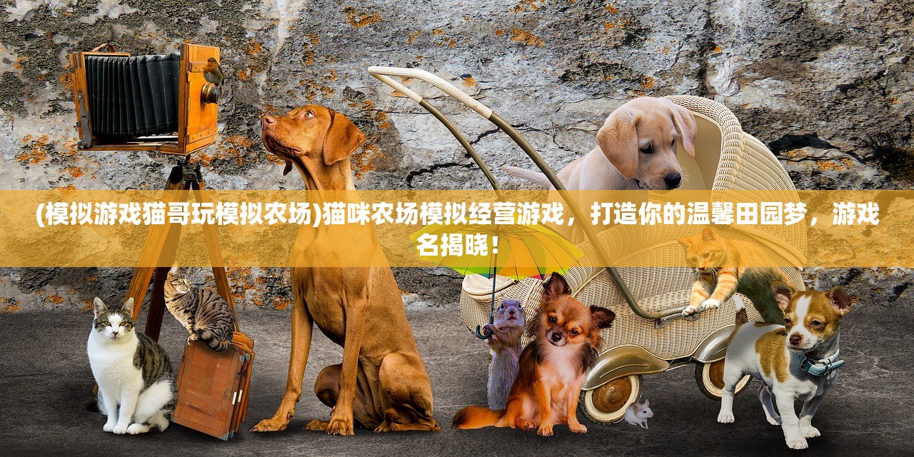 (小虾米战三国藏宝图)小虾米战三国，蜀国最强阵容揭秘与深度解析