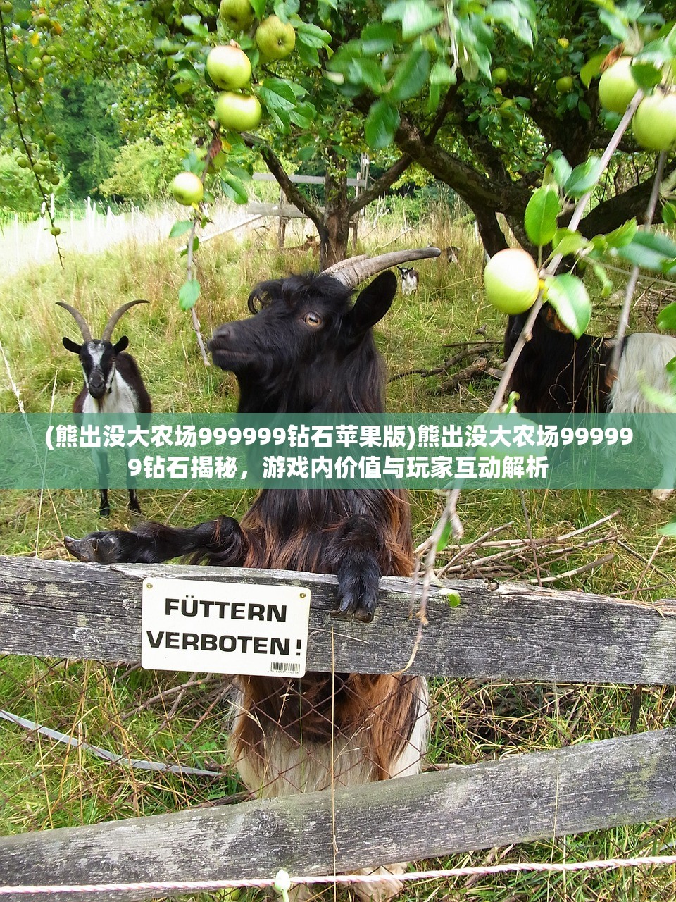 (火柴人弹射器)火柴人子弹先生，游戏背后的故事与深度解析
