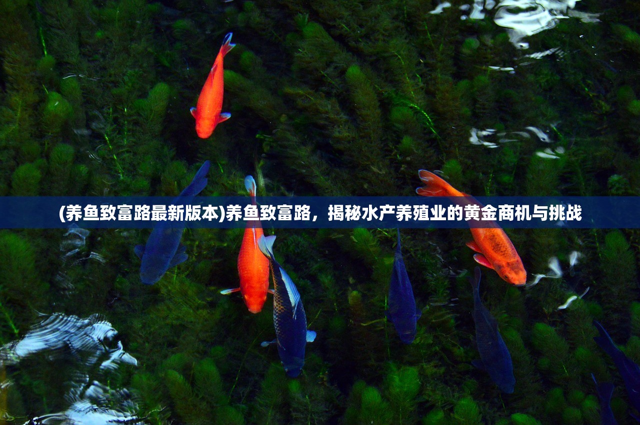 (微信不休的乌拉拉最强阵容)不休的乌拉拉，揭秘最强阵容背后的秘密与策略解析