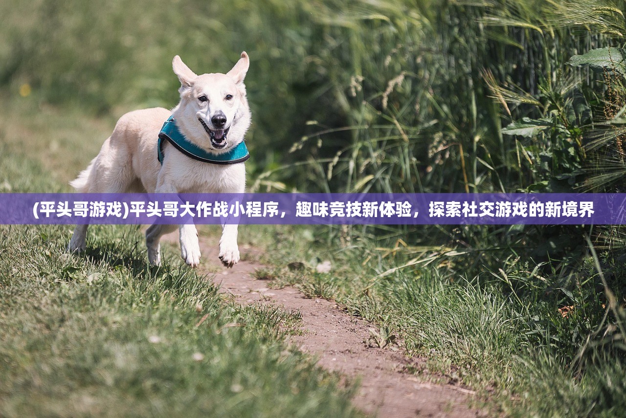 (代号gio)代号伙伴2024年公测，新游崛起，多元化体验与玩家期待深度解析