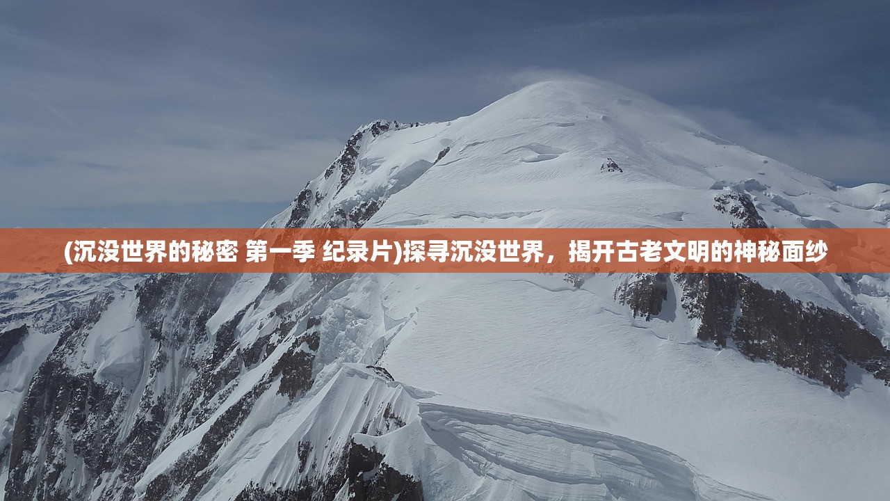 (剑道寻缘官网)剑道寻缘搭建，探寻剑道文化传承与创新之路