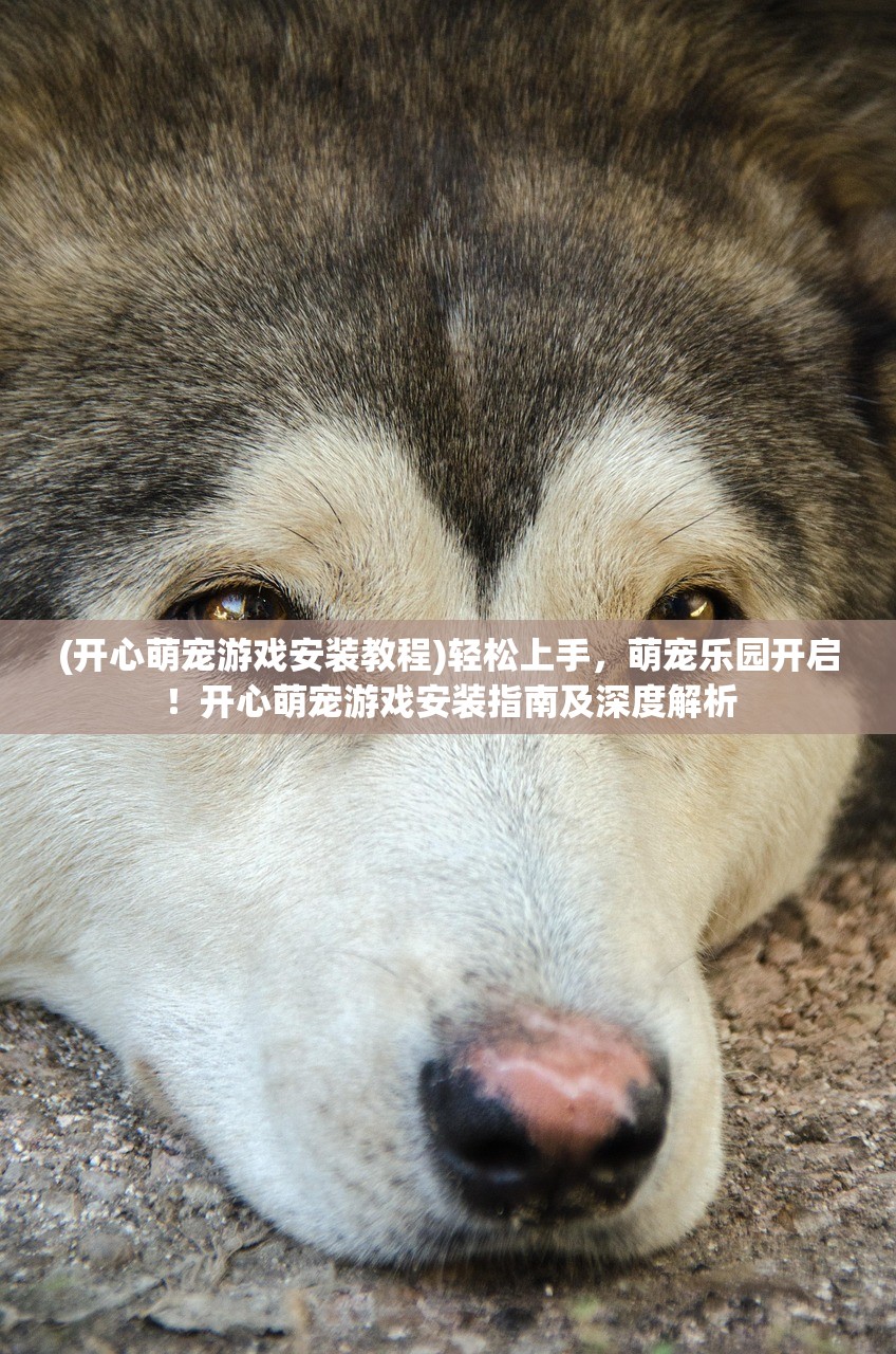 (飘渺儒仙修改器下载)飘渺儒仙免费修改器深度解析，游戏平衡的艺术与挑战探讨