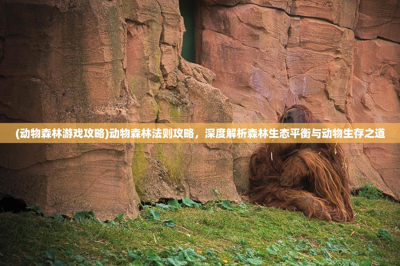 (代号 远征)代号远征手游，深度解析与前瞻展望，揭秘游戏生态与玩家体验