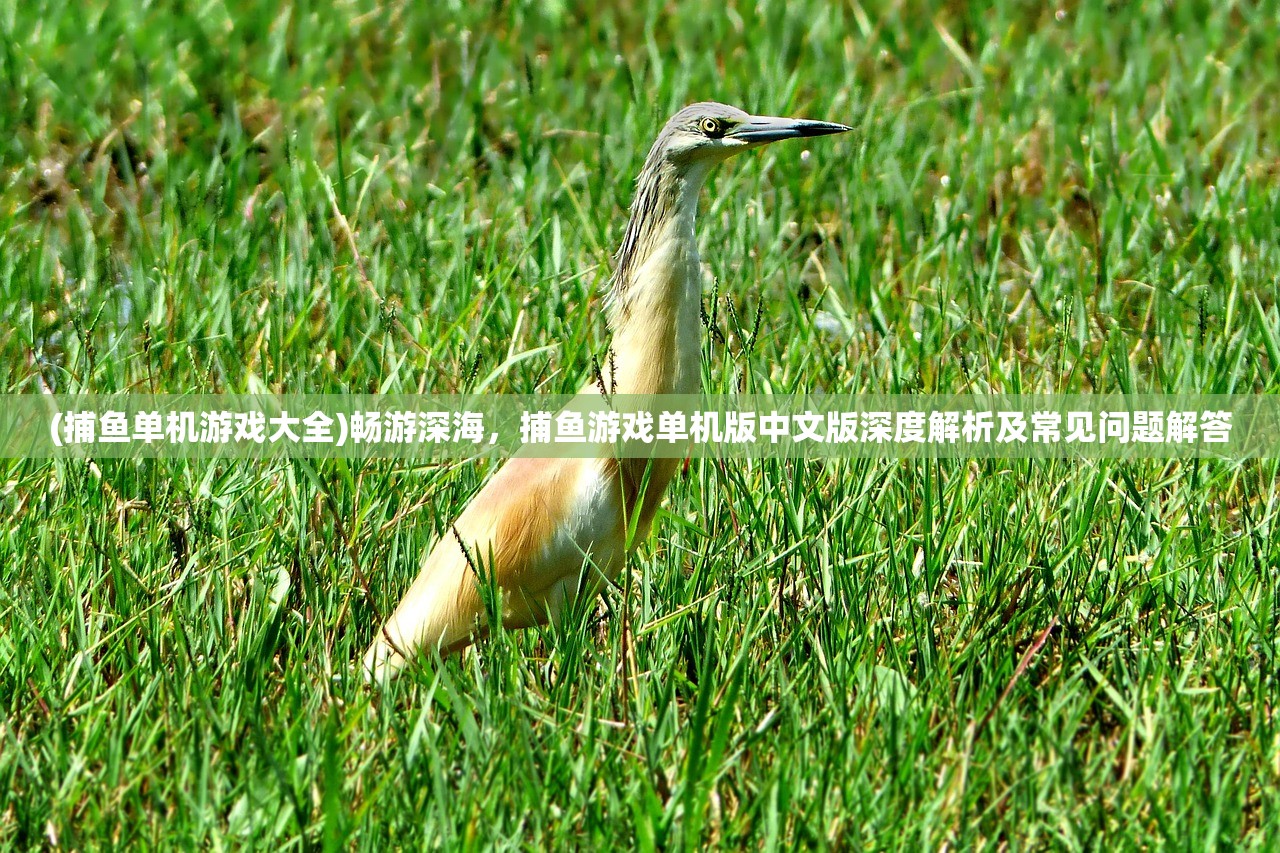 (捕鱼单机游戏大全)畅游深海，捕鱼游戏单机版中文版深度解析及常见问题解答