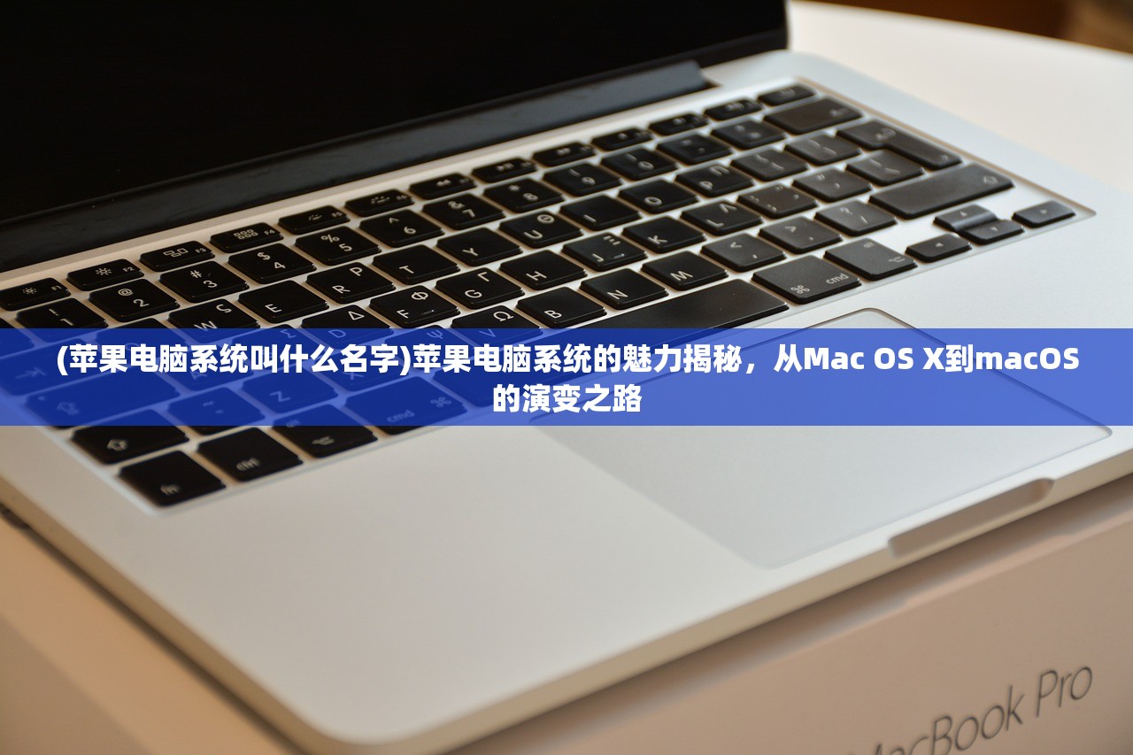 (苹果电脑系统叫什么名字)苹果电脑系统的魅力揭秘，从Mac OS X到macOS的演变之路