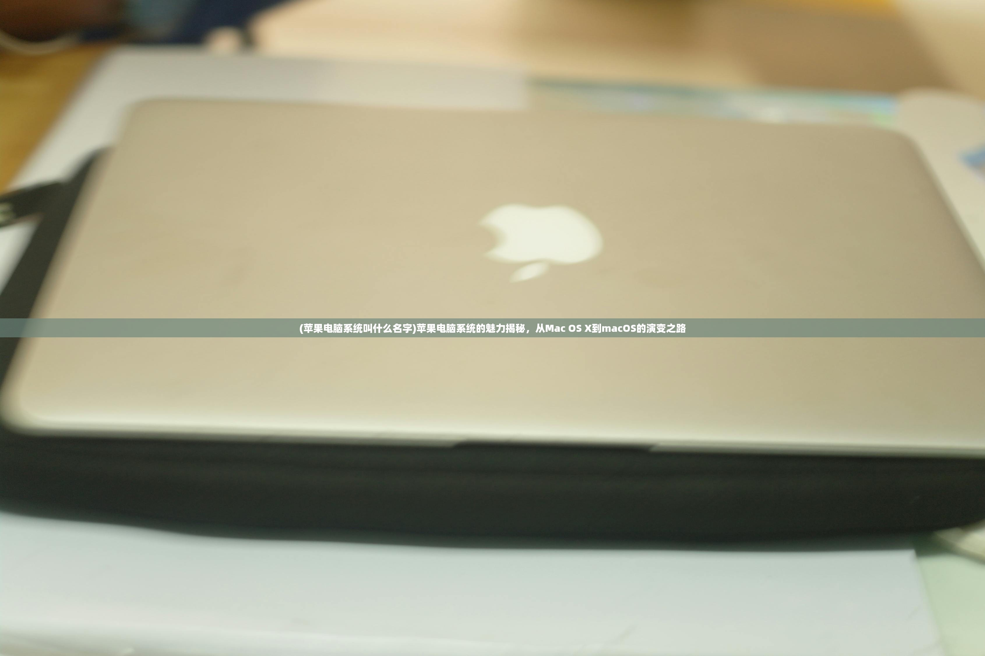(苹果电脑系统叫什么名字)苹果电脑系统的魅力揭秘，从Mac OS X到macOS的演变之路