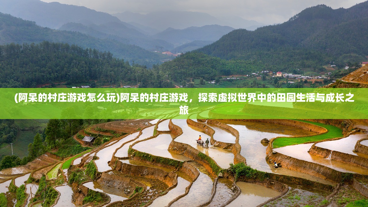 (阿呆的村庄游戏怎么玩)阿呆的村庄游戏，探索虚拟世界中的田园生活与成长之旅