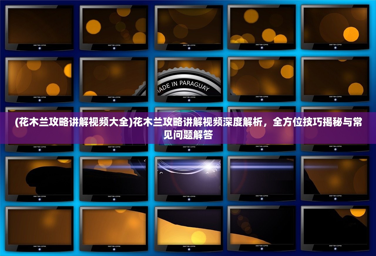 (九阴最新版本)九阴新版本官方正版入口揭秘，深度解析新版本特色与玩法攻略