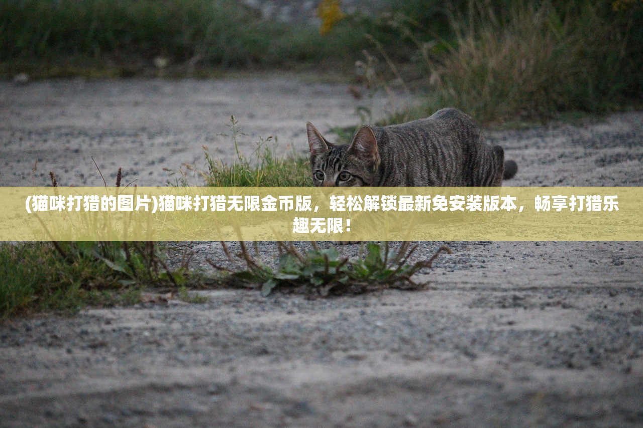 (剑勤四海0.1折下载)剑勤四海0.1折，揭秘电商平台的神秘优惠策略与消费者权益保护