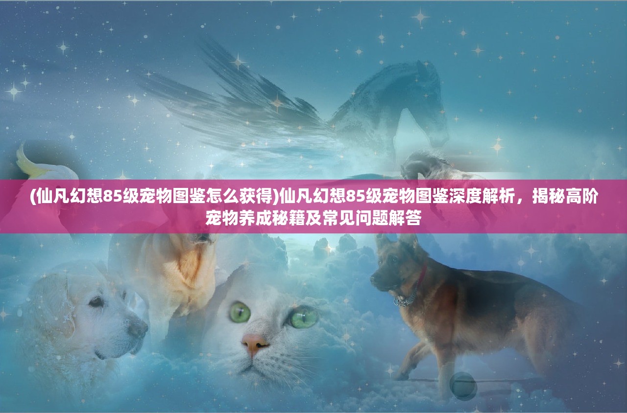 (Area F2(代号:F2)下载)揭秘Area F2（代号，F2），神秘地带的探索与挑战