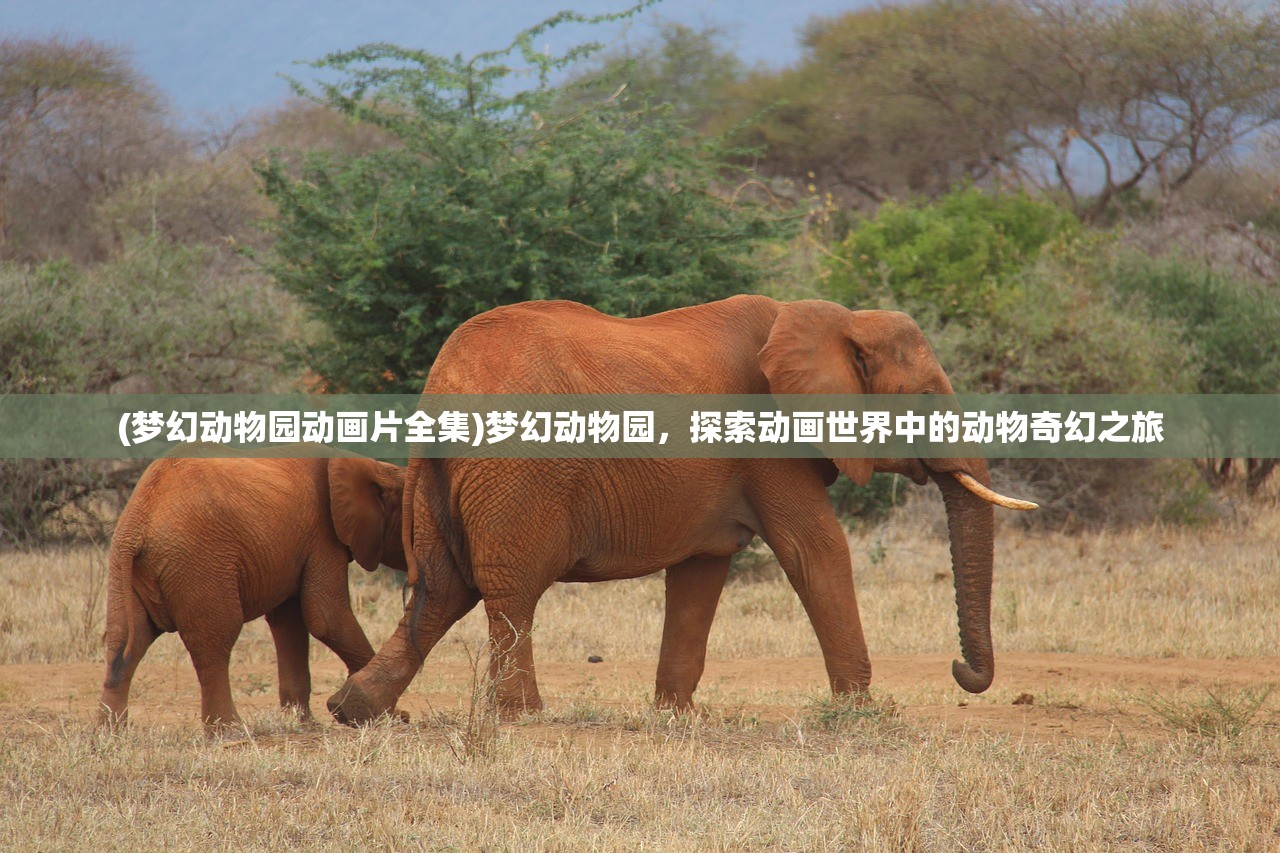 (辐射避难所ol神秘商人值得买吗)辐射避难所OL，揭秘神秘商人神秘踪迹，探寻避难所中的神秘交易之道