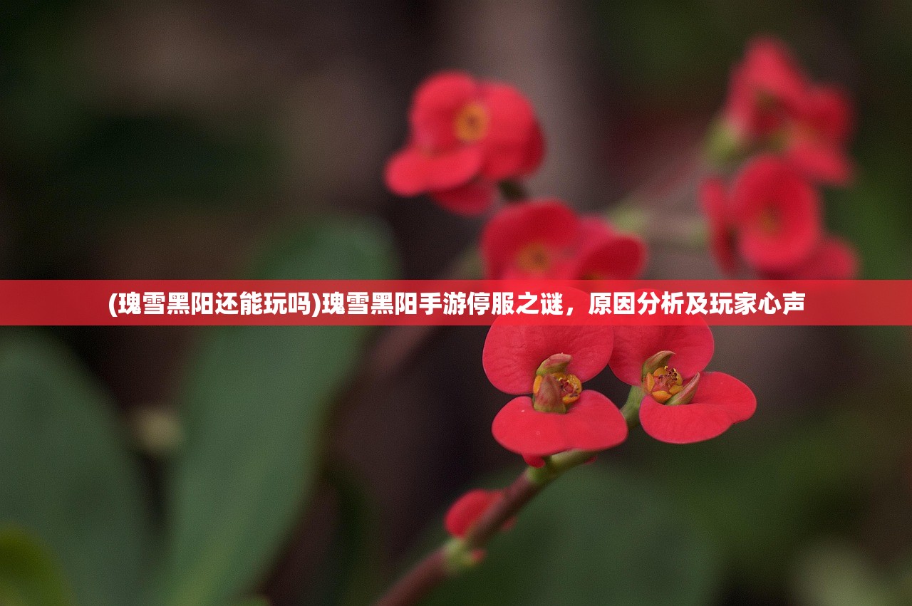 (率土之滨网易官方版下载)率土之滨网易官方版，深度解析与常见问题解答