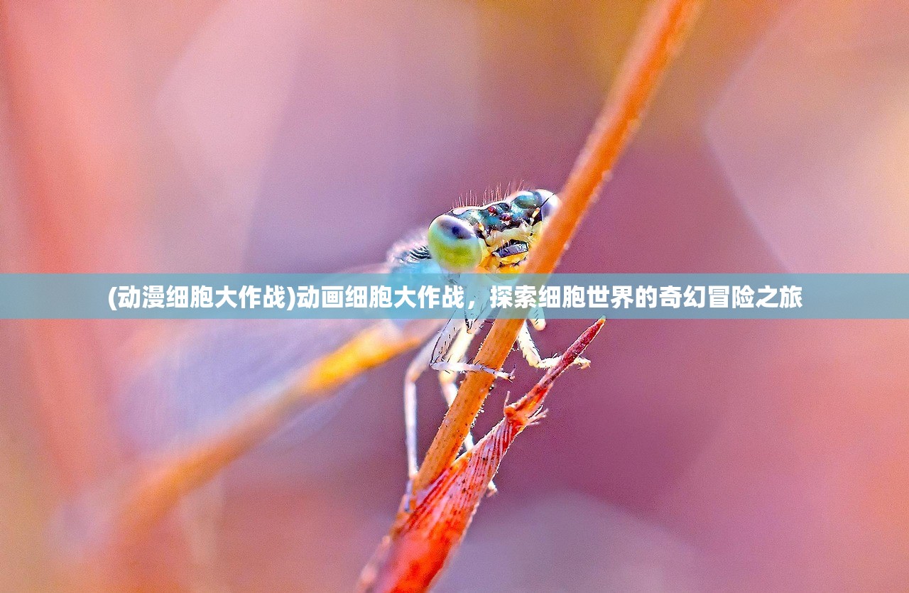 (潮爆战纪手游)深度解析潮爆战纪修改器，揭秘游戏修改背后的奥秘与风险