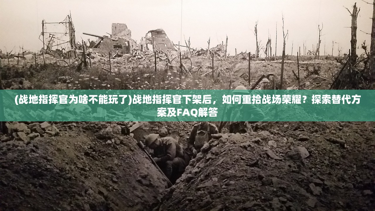 (战地指挥官为啥不能玩了)战地指挥官下架后，如何重拾战场荣耀？探索替代方案及FAQ解答