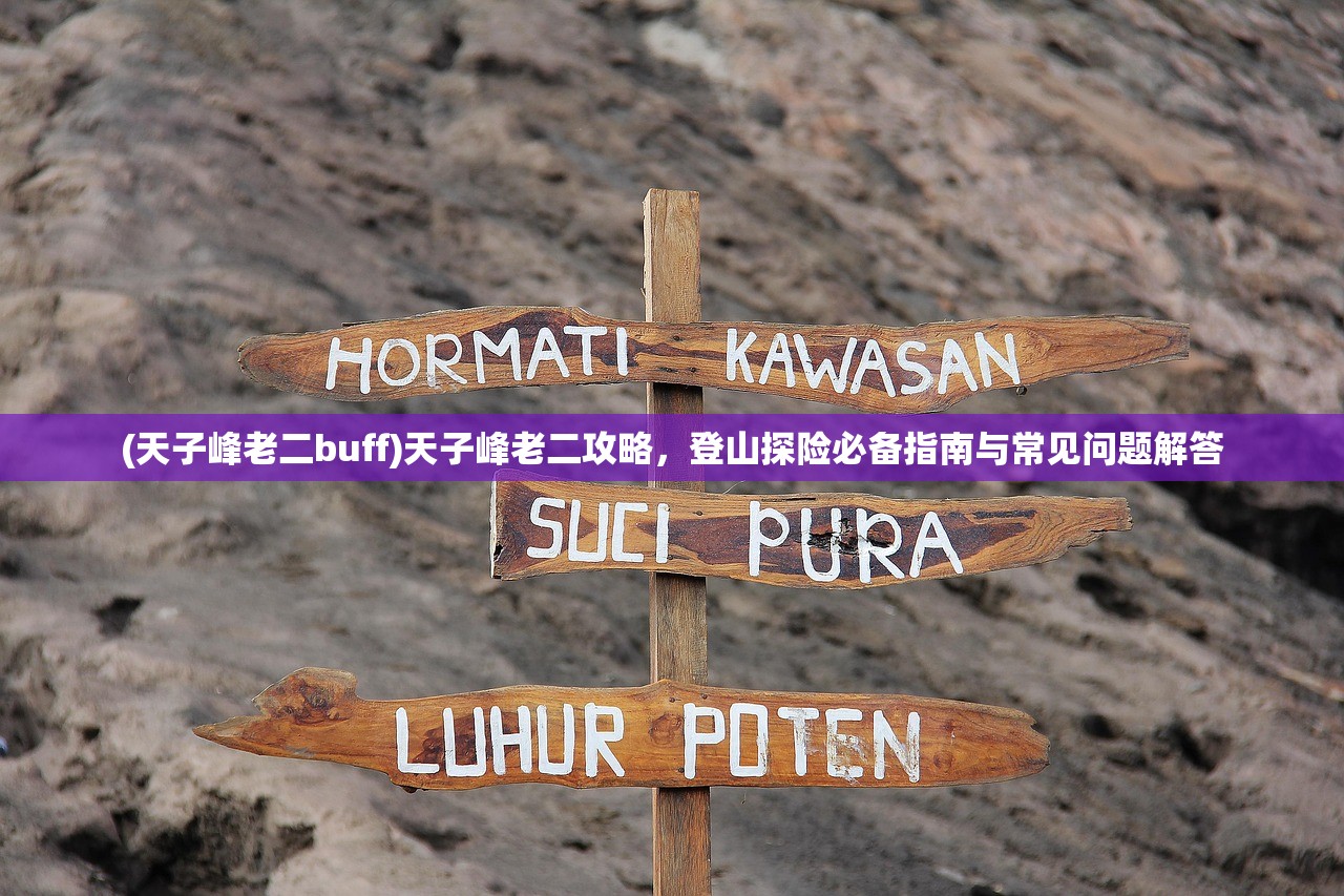 (天子峰老二buff)天子峰老二攻略，登山探险必备指南与常见问题解答