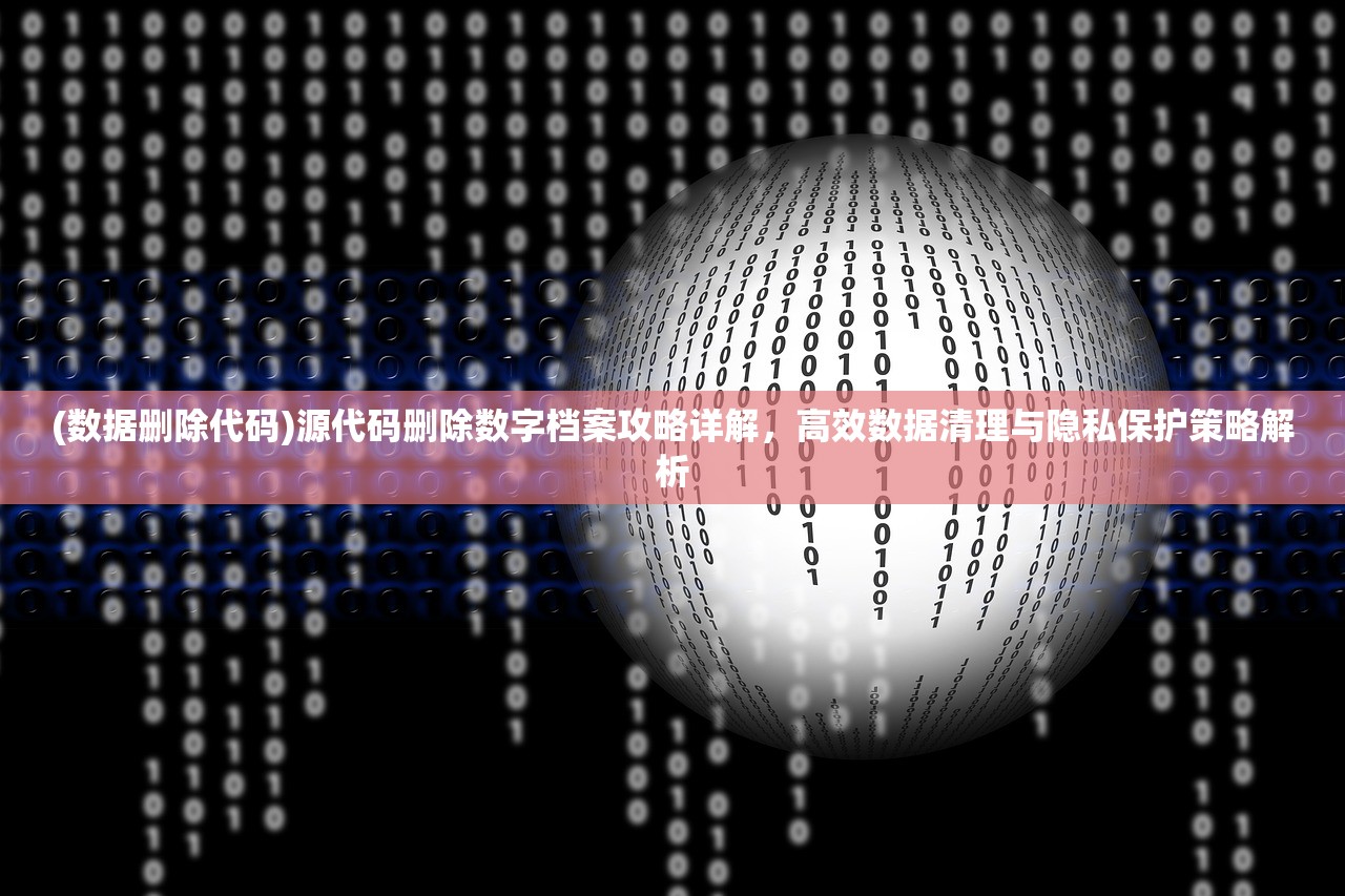 (数据删除代码)源代码删除数字档案攻略详解，高效数据清理与隐私保护策略解析