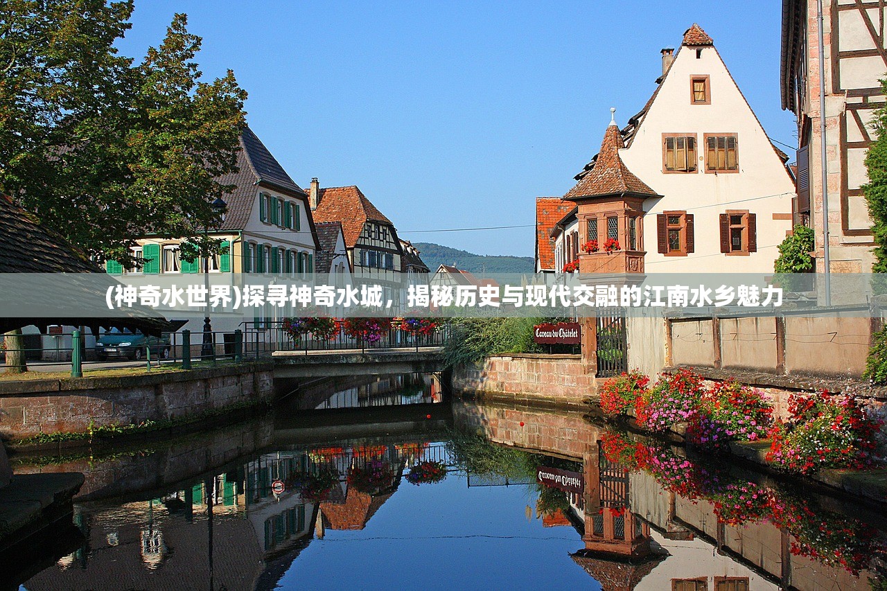 (神奇水世界)探寻神奇水城，揭秘历史与现代交融的江南水乡魅力