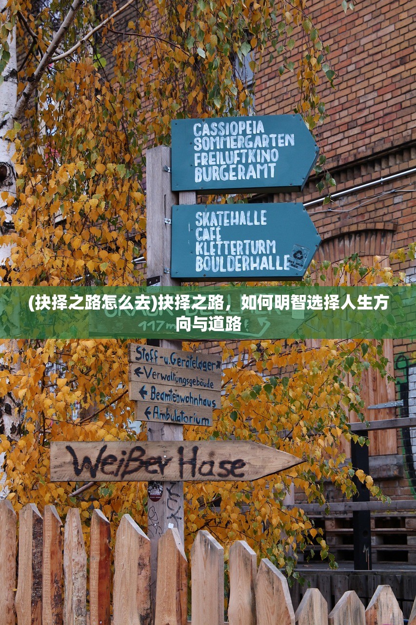 (抉择之路怎么去)抉择之路，如何明智选择人生方向与道路