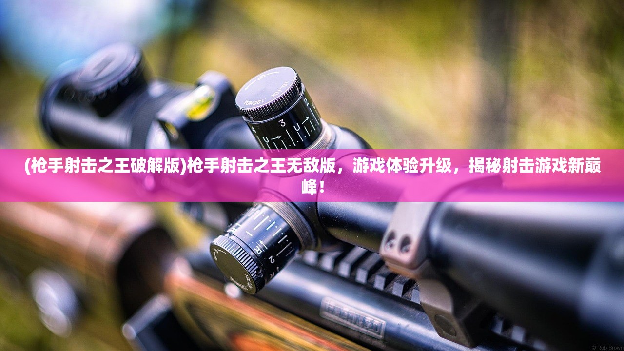 (枪手射击之王破解版)枪手射击之王无敌版，游戏体验升级，揭秘射击游戏新巅峰！